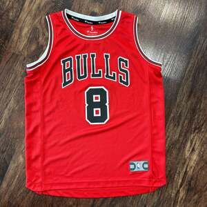 Nike NBA Chicago Bulls Zach LaVine #8 Icon Edition Swingman Jersey Signed